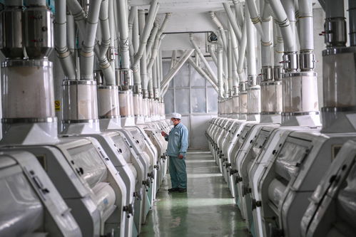 齐鲁原创技术转让 创新驱动与产业升级的双向赋能